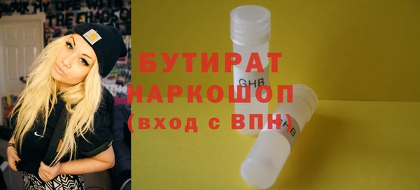 прущие грибы Гатчина