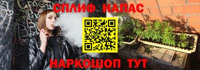 амф Славгород