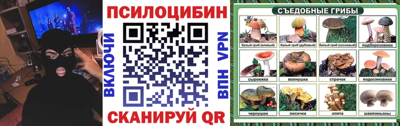 Псилоцибиновые грибы Psilocybine cubensis цена Электрогорск