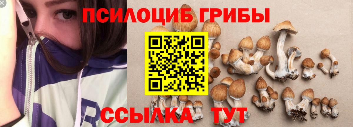 где найти наркотики  Галлюциногенные грибы Magic Shrooms  Вход с VPN  Электрогорск 
